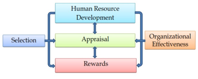 hrm-img